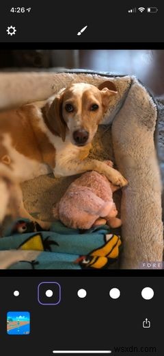 The 4 Best Portrait Mode Apps for Any iPhone