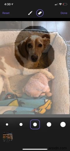 The 4 Best Portrait Mode Apps for Any iPhone