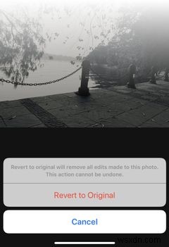 How to Add Filters to iPhone Pictures the Easy Way
