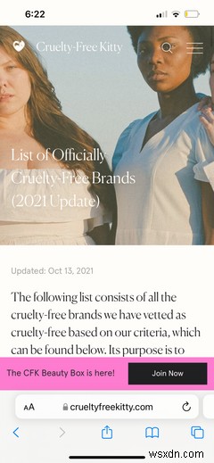 Safari: A Beginner’s Guide for iPhone or iPad Users