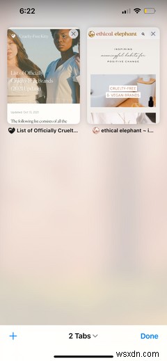 Safari: A Beginner’s Guide for iPhone or iPad Users