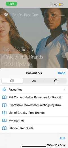 Safari: A Beginner’s Guide for iPhone or iPad Users