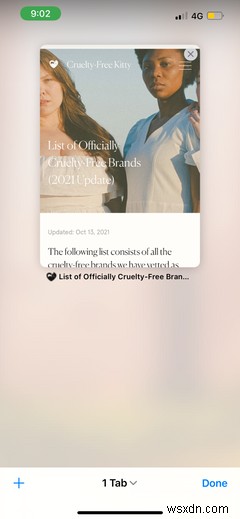 Safari: A Beginner’s Guide for iPhone or iPad Users