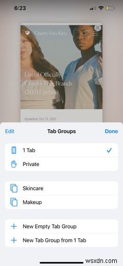 Safari: A Beginner’s Guide for iPhone or iPad Users