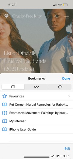 Safari: A Beginner’s Guide for iPhone or iPad Users