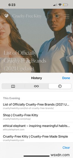 Safari: A Beginner’s Guide for iPhone or iPad Users