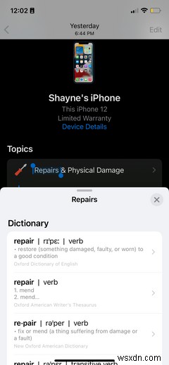 Did You Know Your iPhone Has a Built-in Dictionary? Here’s How to Use It