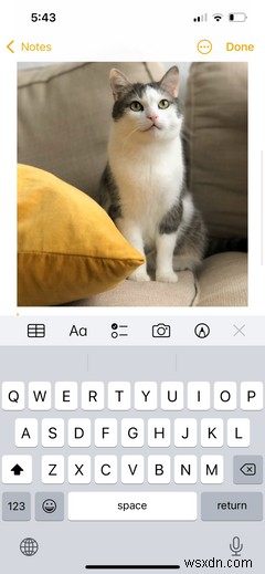 The iPhone Notes App: Everything You Need to Get Started