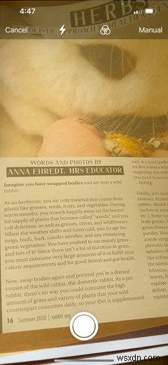 The iPhone Notes App: Everything You Need to Get Started