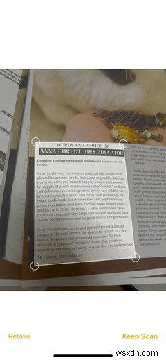 The iPhone Notes App: Everything You Need to Get Started