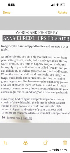 The iPhone Notes App: Everything You Need to Get Started