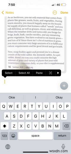 The iPhone Notes App: Everything You Need to Get Started