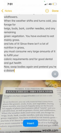 The iPhone Notes App: Everything You Need to Get Started