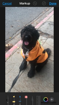 How to Use VoiceOver Image Descriptions With Your iPhone Photos