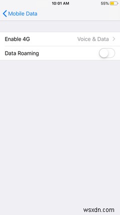 iPhone Cellular Data Not Working? 10 Fixes
