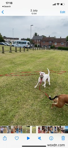 How to Record and Edit Slo-Mo Videos on Your iPhone