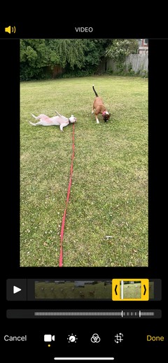 How to Record and Edit Slo-Mo Videos on Your iPhone