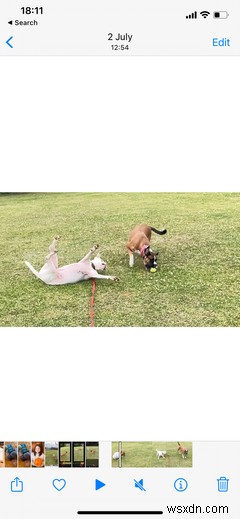 How to Record and Edit Slo-Mo Videos on Your iPhone