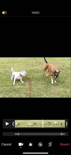 How to Record and Edit Slo-Mo Videos on Your iPhone