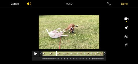 How to Record and Edit Slo-Mo Videos on Your iPhone
