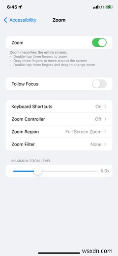 A Complete Guide to Using the Zoom Feature on an iPhone or iPad