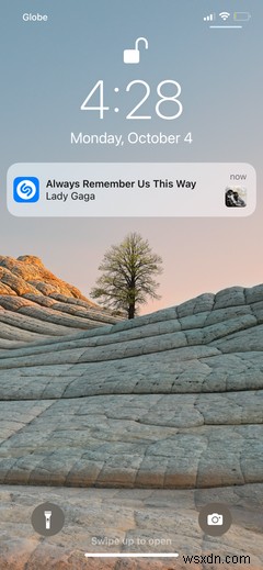 Heres a Rundown of Every Single Control Center Widget on an iPhone or iPad