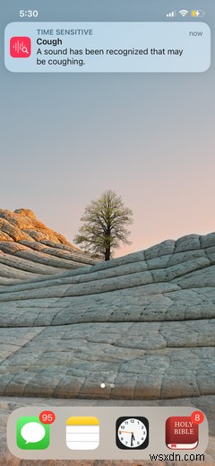Heres a Rundown of Every Single Control Center Widget on an iPhone or iPad