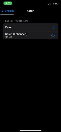 How to Master the VoiceOver Feature to Use Your iPhone Without Looking at It
