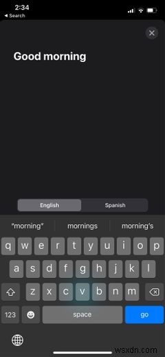 A Guide to Using the Translate App on Your iPhone or iPad