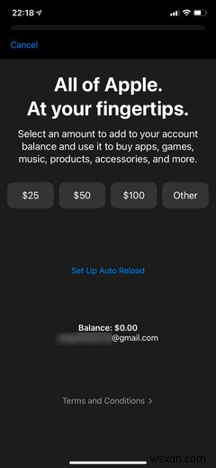 How to Master the iPhone App Stores Settings