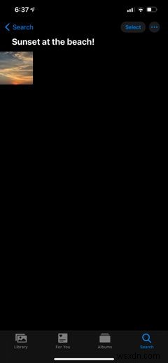 How to Add Captions to Photos on Your iPhone and iPad (and Why)