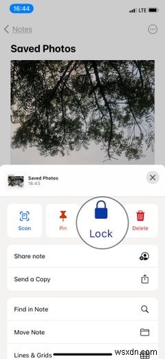 How to Hide Your Hidden Photos Album on an iPhone