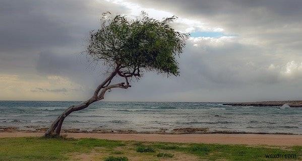 How to create a mirror image using Java OpenCV library?