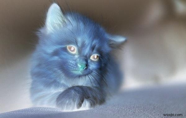 How to convert a negative image to positive image using Java OpenCV library?