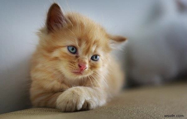 How to write an image using Java OpenCV library?