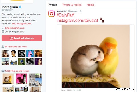 Better Twitter: 9 Chrome Extensions You Need to Install Right Now