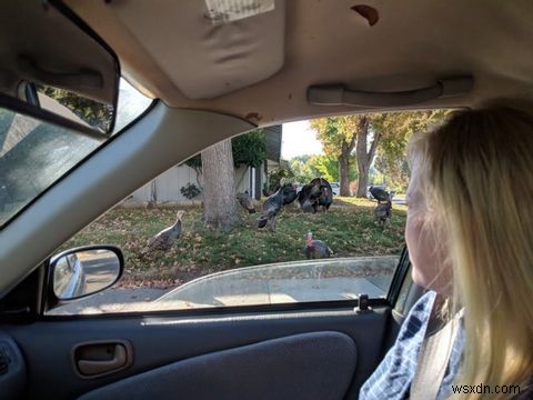 Google Pixel 2 Review: Is This The Best Smartphone Ever?