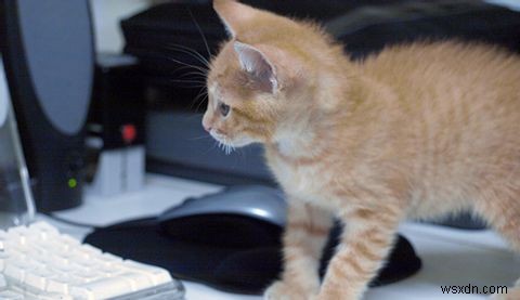 Are App Stores Really Safe? How Smartphone Malware Is Filtered Out