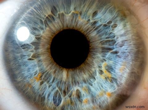 Are Retina/Iris Scanners The Next Level Of Mobile Security?