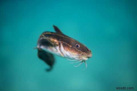 The 5 Worst Tinder Scams: Tips for Dating Safely on Tinder