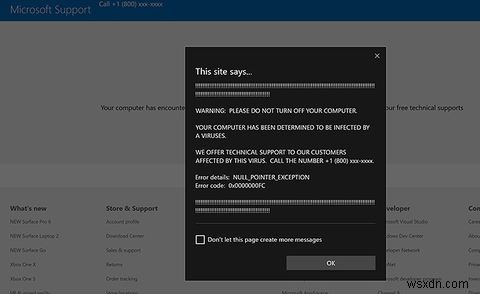 Malware Scams Are on the Rise: How to Spot a Fake Tech Support Scam