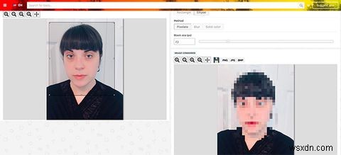 How to Easily Pixelate or Blur Your Images Online