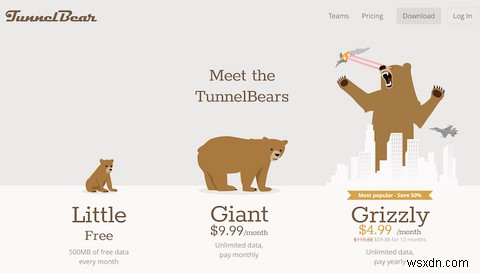 Your Guide to the International Web