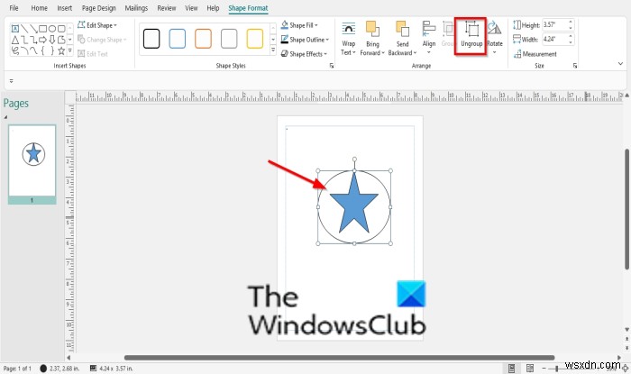 How to merge Shapes in Publisher using Group and Ungroup feature