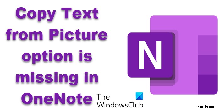 OneNote Copy Text from Picture option is missing