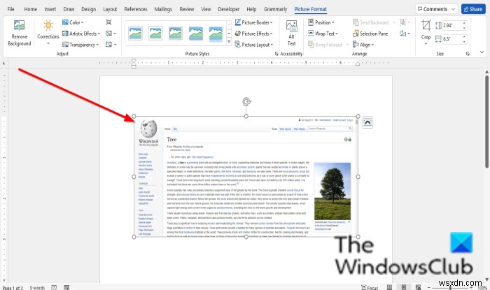 How to use the built-in Screenshot tool in Office programs