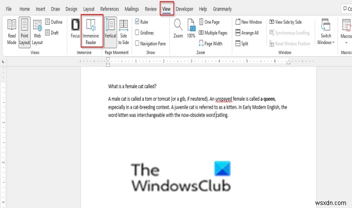 How to use Immersive Reader in Word and Edge