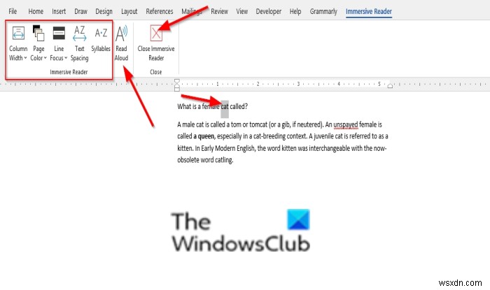 How to use Immersive Reader in Word and Edge