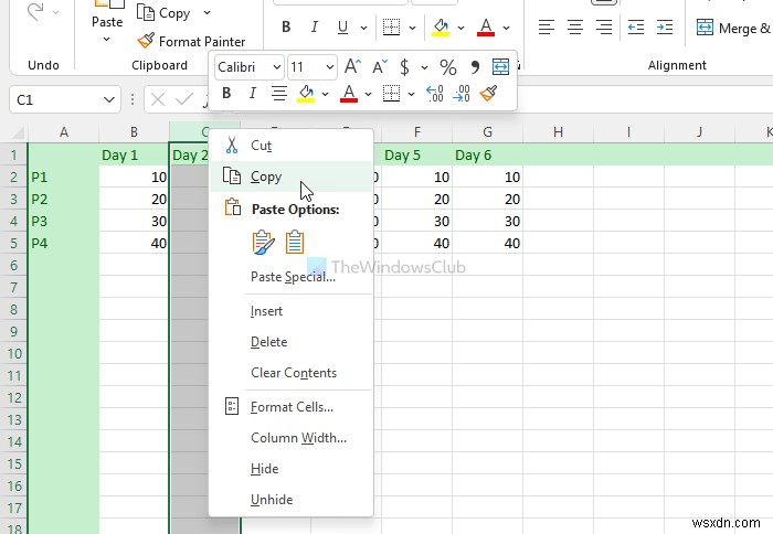 How to copy paste Columns and Rows in Excel spreadsheet