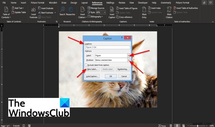 How to insert a Caption in Microsoft Word
